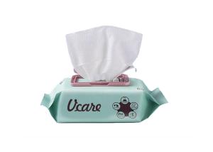 China Antibacterial Disinfectant Disposable Wet Wipes For Home factory