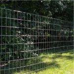 Professional Factory Directly Supply 26 Gauge Galvanized Welded Wire Mesh 3x3