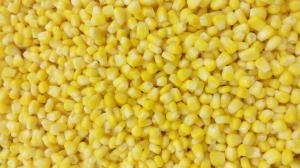 China EOE Stackable Canned Sweet Corn Kernel Super Sweet 425g with Private Label factory