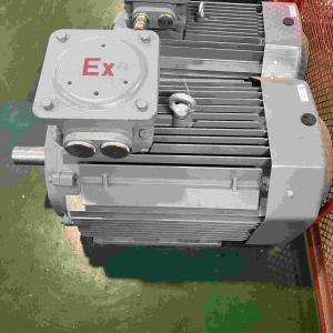 China High Voltage Stinless Steel Flameproof Electric Motor Three phase factory