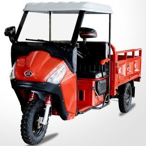 China DAYANG C2 175CC Gasoline Engine Cargo Tricycle Lightweight and Ideal for Narrow Roads factory