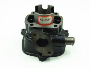China Water Cooled Qianjing 50 Two Stroke Cylinder , Cast Iron Block 50cc Engine Parts factory