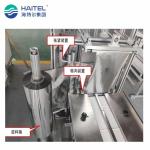 Automatic Four Sides Bag Sealing KF94 3D Fish Face Mask Horizontal Packing
