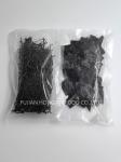 Kombu Laminaria Kelp Sprouts A Nutritious And Flavorful Treat