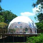 Diameter 6m Glamping Igloo Tent Round Transparent Luxury Giant