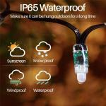 Smart String Lights RGBIC for Christmas Tree Outdoor RGB Xmas Fairy Light