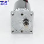 High Precision 6v 12V 24V DC Gear Motor High Rpm 25w 20kgcm 30 Rpm For The Grill