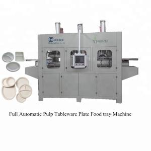 China Fiber Moulding Pulp Food Container Thermoforming Machine 2000pcs/day factory