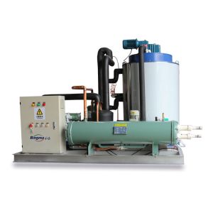 Automatic Fresh Water Flake Ice Machine 50 Tons Direct Cooling