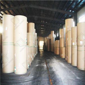 Reliable FBB Rolls For High-Volume Printing And Packaging Production High Bulk