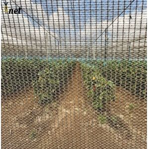 White Anti Hail Net Customized Garden Windbreak Netting 30gsm - 90gsm