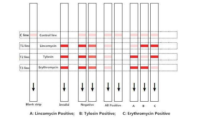 Lincomycin Tylosin And Erythromycin Combo Milk Test Kit Rapid Test Strip 96 Tests/Kit
