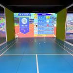 Northern Lights Professional Indoor AR Sports Badminton Indoor Ball Games