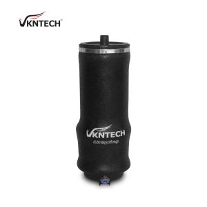 China W02N197197 Air Suspension Kits For Car Air Spring 2595130C91 For INTERNATIONAL VKNTECH 1S7197 factory