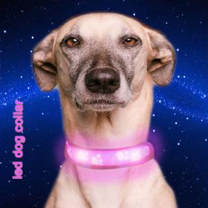 China C903 Safety Nylon Webbing USB Rechargeable LED Pet Collar Leash Led Dog Collars in darkness factory