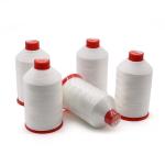 Filament 100% Polyester V69 Tex 70 Nylon Bonded Thread for Leather Shoes/ Bags/