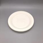 Food Catering Biodegradable Cornstarch Plates