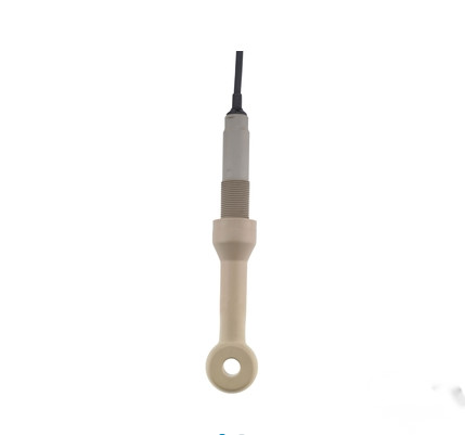 China Endress Hauser Indumax CLS50 Analog Conductivity Sensor with PEEK Seal factory