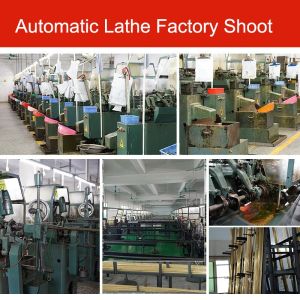 Precision CNC Screws Machining Turning Parts Components Copper Nuts