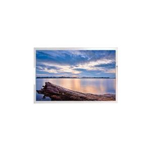 China 24.5 inch DV245QHB-N30 LCD display 2560*1440 LCD Screen factory