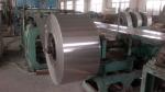 TP 310S Hot Rolled SS Strip Coil For Electric Furnace Tubes