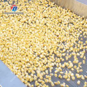 Fruit and Vegetable Draining Machine Fruit Vegetable Onions Herbs Saiko