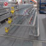 Automatic Layer Baby Broiler Chick Cage Poultry Farm Equipment Pullet 275g / M2