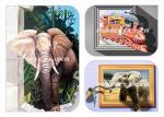 High Resolution Popular 3D Background Wall Printing Machine On Paper Wood