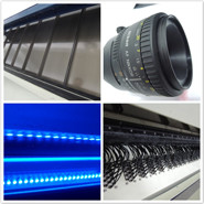 Rosehip Seed Color Sorter Machine Rosehip Seeds Sorting Machinery Rosehips Fruit