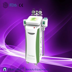 China Newest amazing result cryolipolysis & vacuum & laser to lose weight on sale