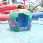 Customized Colorful Carp Spray Aqua Park Equipment For Children / Kids Fun in