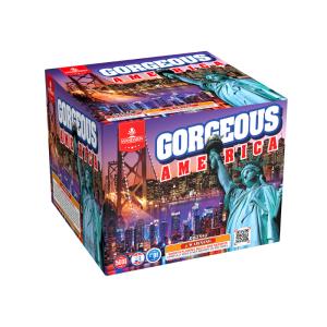 China Liuyang High Quality 9 Shots 500G Small Or Big Cake Fire Works Firework Salute factory