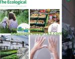 100% Biodegradable Compostable Disposable Apron For Kitchen, Compostable Kitchen