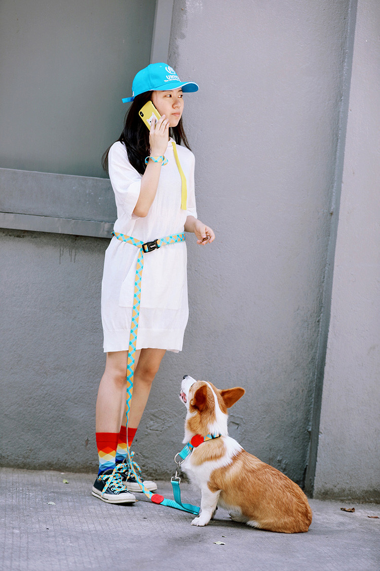 Hidream Dog Collar Harness And Leash Set 1 Inch 30 Inch Dog Collar