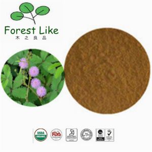 China Finely Shredded Mimosa Extract Mimoside Sensitiveplant Herb Extract on sale
