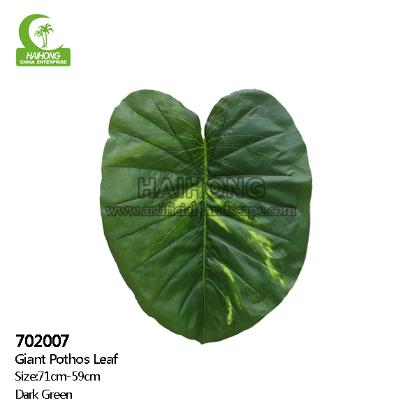 giant photots leaf