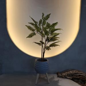 China Lifelike Artificial Fern Tree for Indoor/Outdoor Decor factory