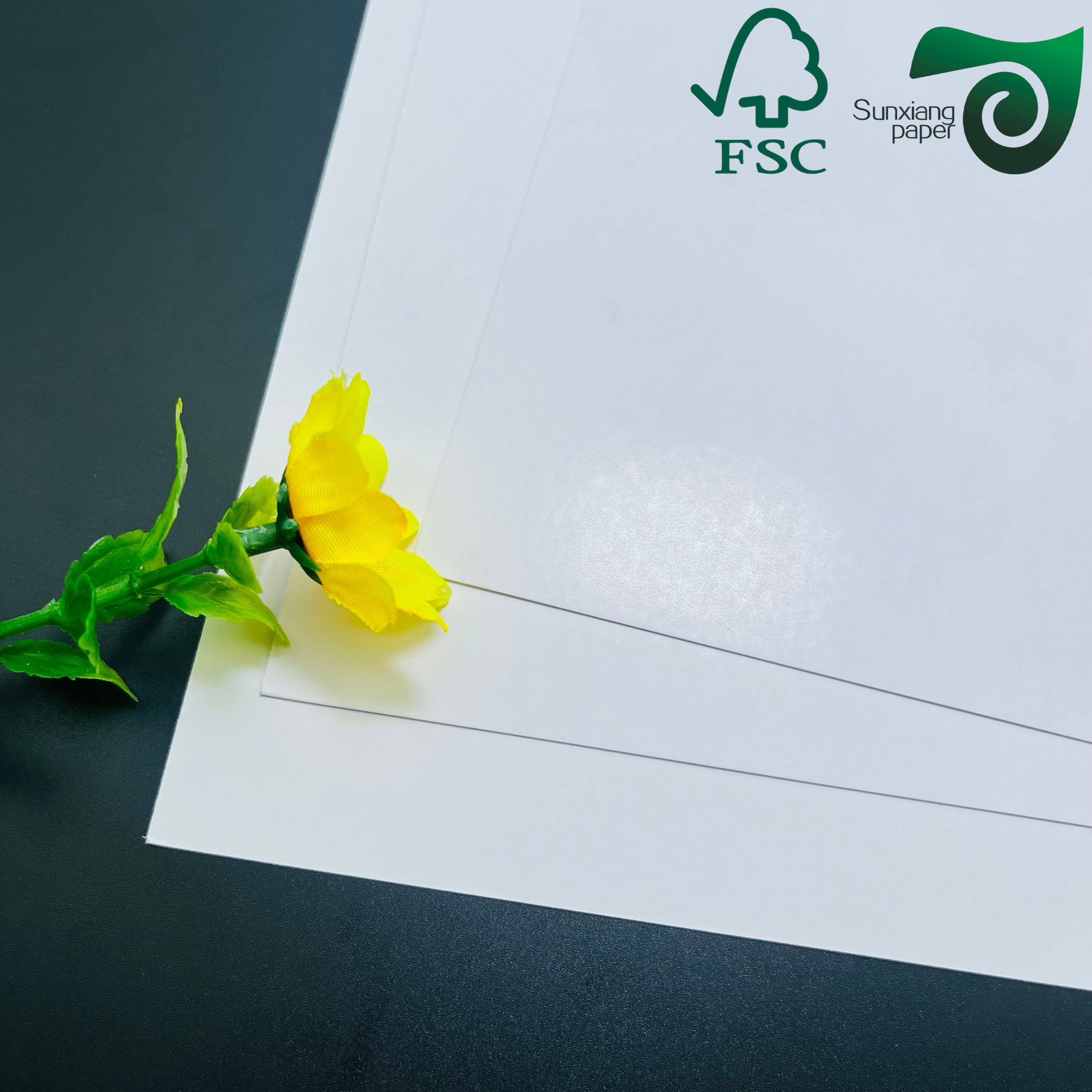 FSC C2S Matte Glossy Coated Art Board 80G 115G 635mm 900mm Coated Two Sides