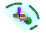 Safety Kids Plastic Playground Equipment With 1.5 Meter Height Slide And