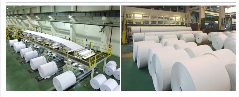 Duplex Board Paper Type 250g C2S Coated Art Printed for Cosmetic Branding Solutions