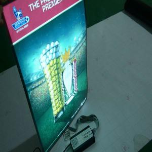 China 2015 custom el poster, animation advertising panel,el display factory