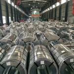 Dx52D 0.5mm Galvanized Steel Coil Sheet Q195 Hot Dipped