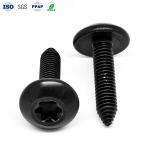 C1022A Carbon Steel Screws Galvanized Black Zinc Plated Bolts Automobile