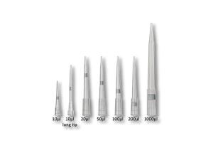 China Medical Device Molding Ultra Precise Multi Cavity Micropipette Molds plastic injection moulding Australia factory
