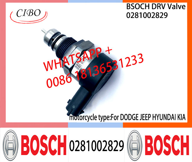BOSCH DRV Valve 0281002829 Control Valve 0281002829 For DODGE JEEP HYUNDAI KIA
