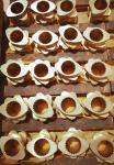 Kneading Block Extruder Machine Parts Kurimoto Kur400 C22 Material for