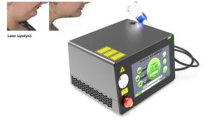 China Portable Laser Physiotherapy Machine Fat Removal 980nm 1470nm factory