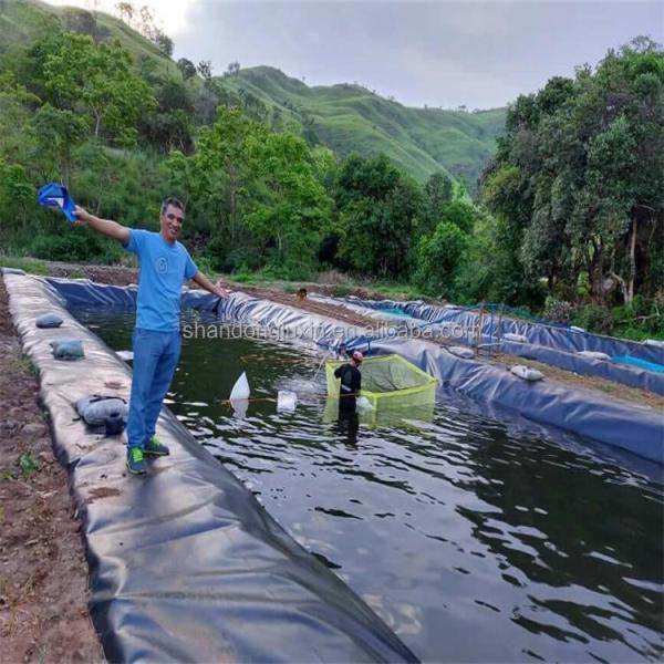 0.75mm HDPE Geoembrane Waterproof Membrane for Aquaculture Fish and Shrimp Tank