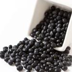 Glutamate-Fermentation Bacterial Body Proteins Feed Additives With Crude Protein
