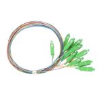 SC/APC-NC, LSZH, 0.9mm, 12 Fiber, G.657A2, 1 meter Color-coded 900μm Pigtail